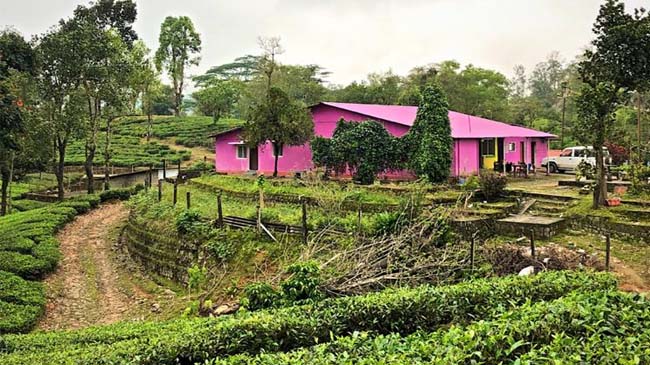 valparai-elephant-valley-cottage