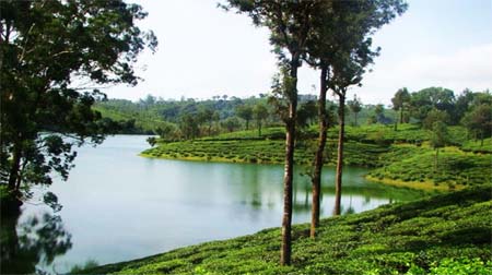 valparai-sightseeing