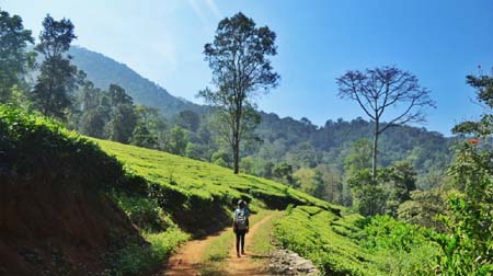 valparai